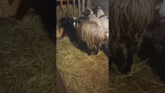 25 ноября 2023 г. смотреть онлайн