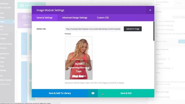 Wordpress change image in Divi Builder смотреть онлайн