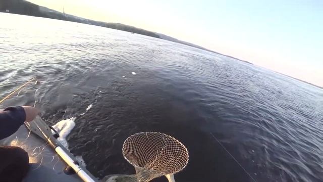 РАБАЛКА НА ДОНКИ НА ВОЛГЕ, первый выезд в сезоне, бешенное течение