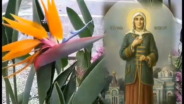 ОЧЕНЬ СИЛЬНАЯ МОЛИТВА К СВЯТОМУ ЛИКУ КСЕНИИ ПЕТЕРБУРГСКОЙ смотреть онлайн