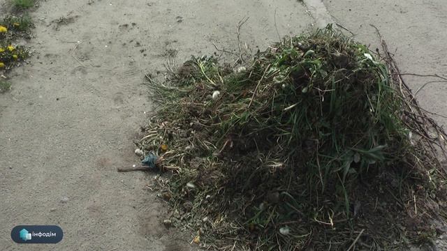 «Чисто не там, де прибирають, а там, де не смітять» смотреть онлайн