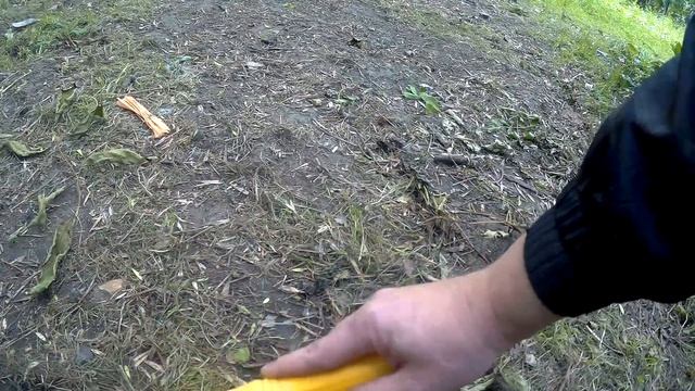 ПОИСК МОНЕТ С ПИНПОИНТЕРОМ МАРС НАХОДКИ смотреть онлайн