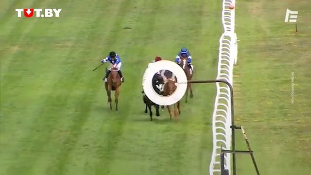 Лошадь покусала жокея во время заезда на скачках смотреть онлайн