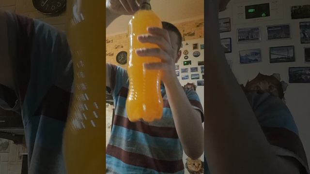 Юпи со вкусом абрикоса чиида ) смотреть онлайн
