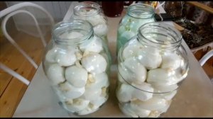 ВКУСНЫЕ МАРИНОВАННЫЕ ЯЙЦА