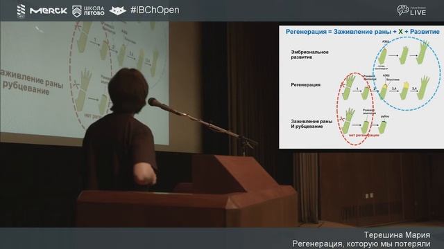 Регенерация, которую мы потеряли смотреть онлайн