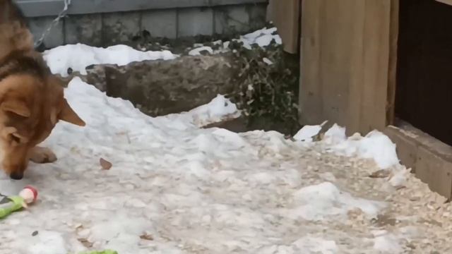 ИГРЫ ШОУ ДЛЯ МАЛЕНЬКИХ У КОГО СЛАБОЕ СЕРДЦЕ / 2 ВЫПУСК смотреть онлайн