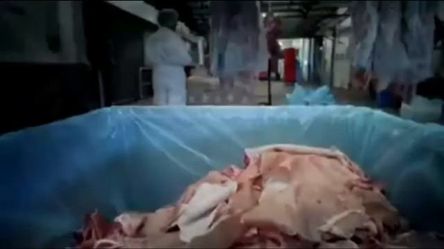 Конфеты из свиньи смотрите все смотреть онлайн