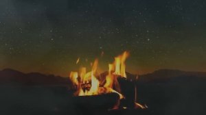 Чёрные копатели. Страшная история на ночь.