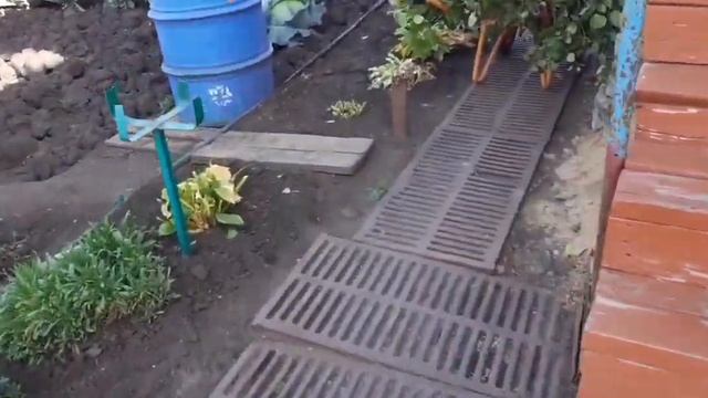 Ютерсен розариум роза, обрезала клематисы и притомилась. смотреть онлайн