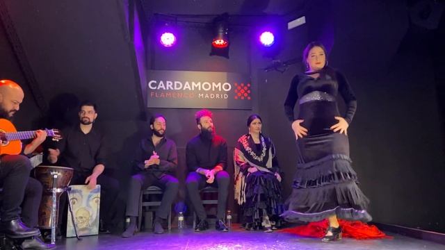 Unforgettable flamenco evening in Madrid, January 2022, No.2 смотреть онлайн