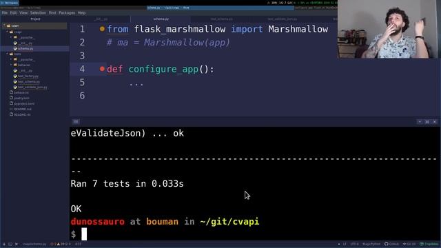 Criando uma API com flask + BDD + TDD + Marshmallow смотреть онлайн