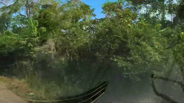 Old Northern Highway in Belize that leads to the Altun Ha Maya Ruins смотреть онлайн