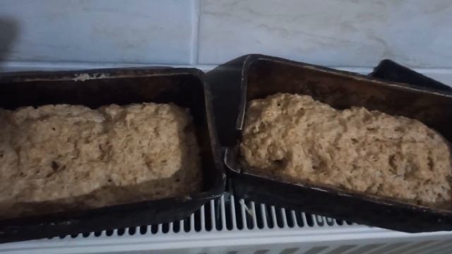 РОЖДЕНИЕ РЖАНОГО ХЛЕБА С ОТРУБЯМИ В ДОМАШНИХ УСЛОВИЯХ! смотреть онлайн