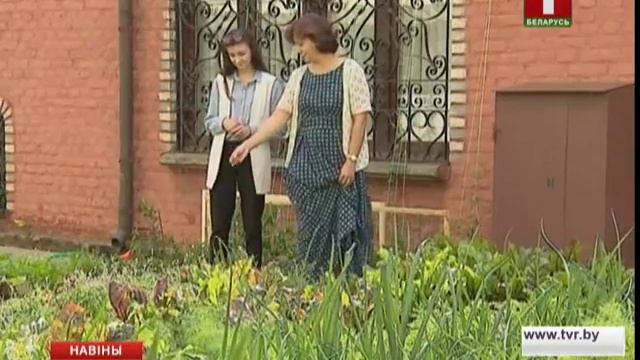 Міні-агарод на даху бытавога будынку ва ўнутраным дворыку Чырвонага касцёла смотреть онлайн