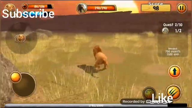 Wild lion simulator 3d gameplay by andro gamer смотреть онлайн