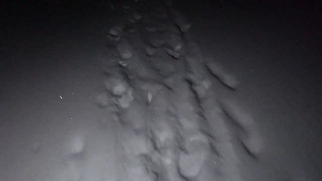 Налим на новом месте будет или нет? Проверим! смотреть онлайн