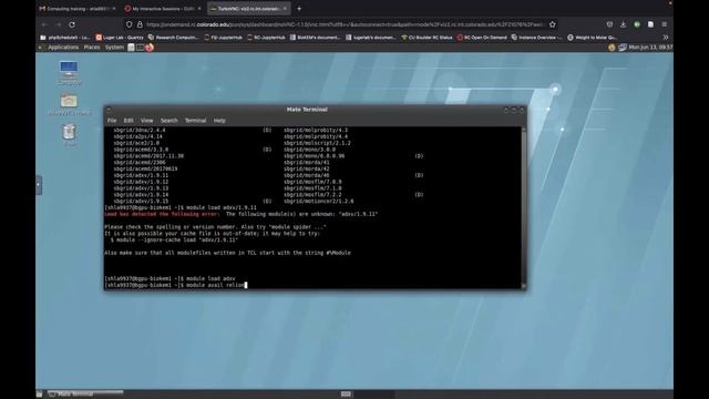 Intro to computing on Blanca смотреть онлайн
