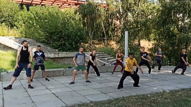 Утро начинается с практики!комплекс: Кулак воды #тайцзицюань #тайцзи #практика #taijiquan #wushu