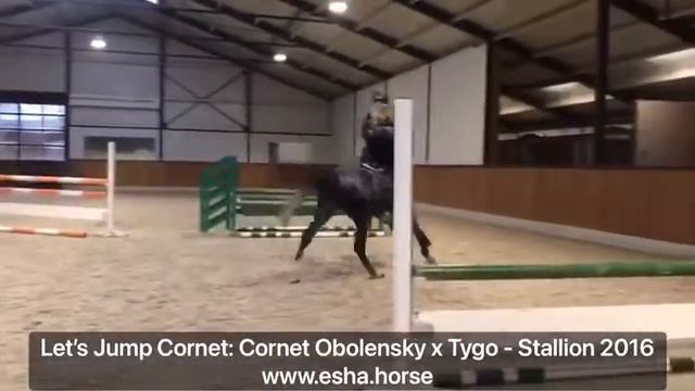 Let's Jump Cornet: Cornet Obolensky x Tygo смотреть онлайн