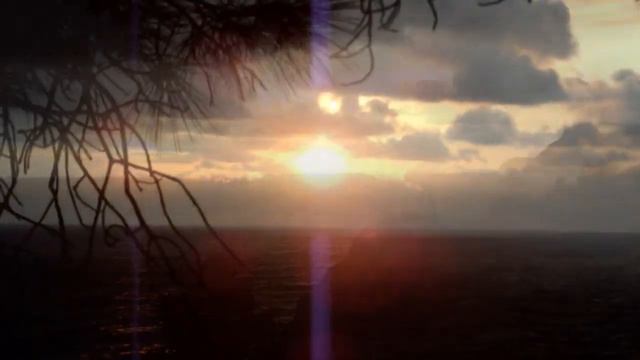 Sea of Inspiration смотреть онлайн