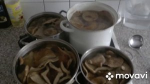 Засолка Грузди по домашнему или как за консевировать грибы
