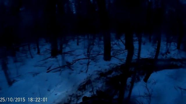CF X6 поездка по лесу (г.Октябрьский РБ) смотреть онлайн