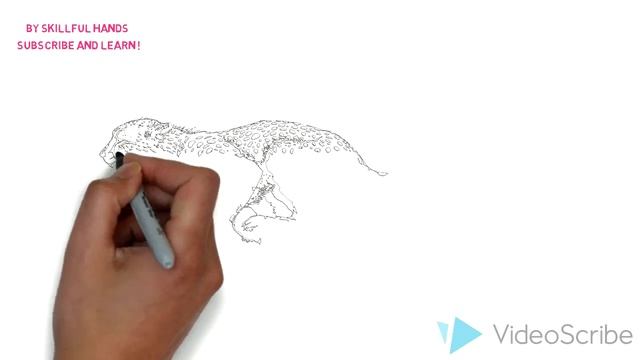 Speed drawing: Realistic Cheetah / Быстрое рисование. реалистичный Гепард смотреть онлайн