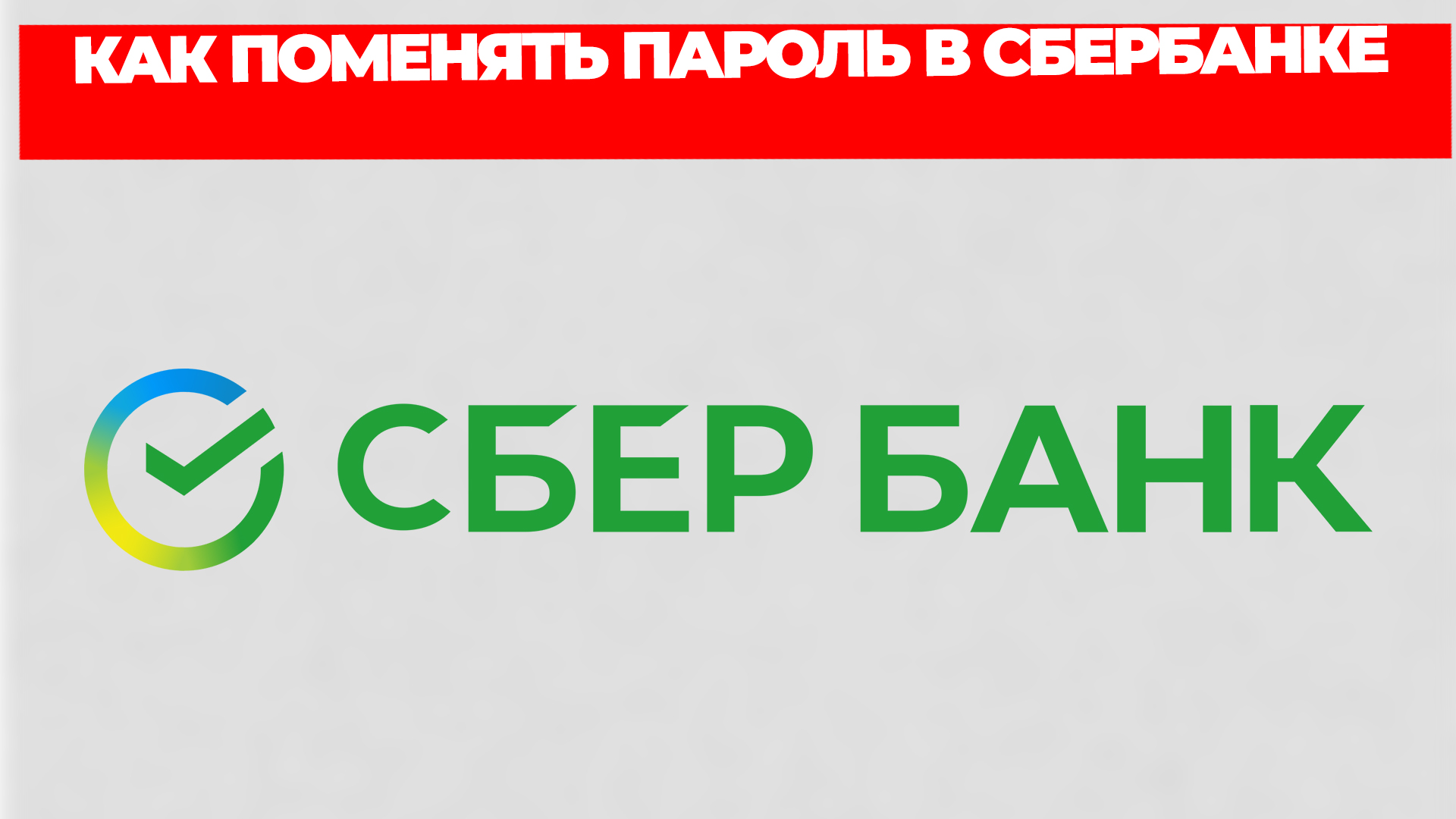 Всезнающий Енот