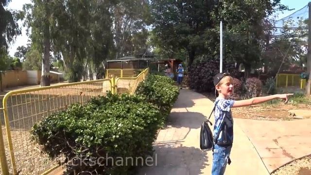 Прогулка по Ботаническому саду и зоопарку Наарии. Интересно и красиво. Nahariya / Нагария смотреть онлайн