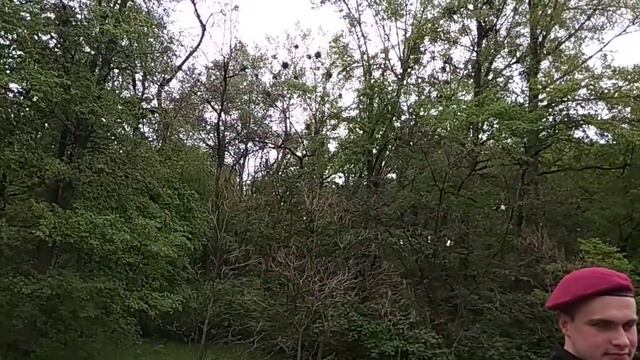 ОткрылРот на 