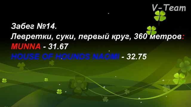 Левретки. Чемпионат РКФ по бегам борзых. КЦ Элита РАЛББ. Новый Милет - 2019. смотреть онлайн