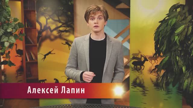 "В МИРЕ ЖИВОТНЫХ" С АЛЕКСЕЕМ ЛАПИНЫМ смотреть онлайн