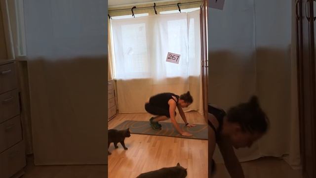 15 берпи, вслух 14 смотреть онлайн