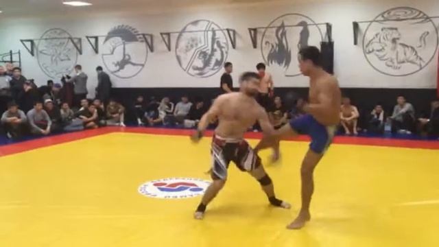 overview prof combat sambo смотреть онлайн