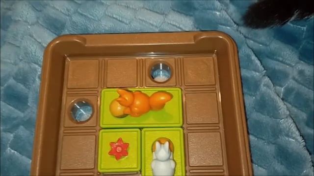 Cache Noisettes ! Smart Games смотреть онлайн