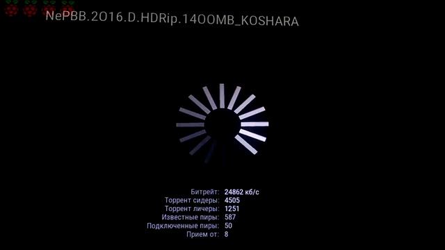 Универсальный RaspberryPi - Медиацентр MOVIAN