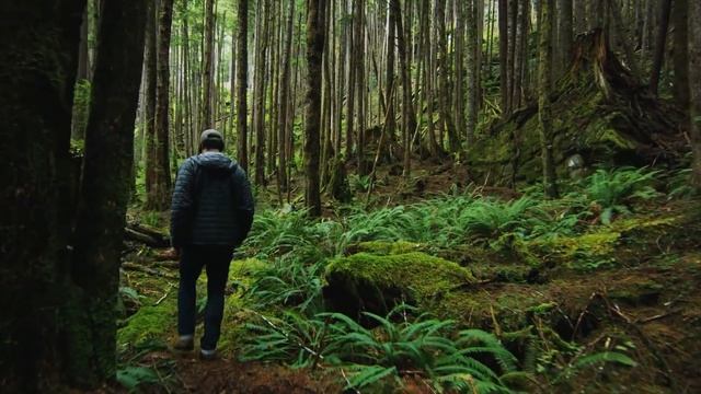 The Next Chapter: A Story by Sum + Substance смотреть онлайн