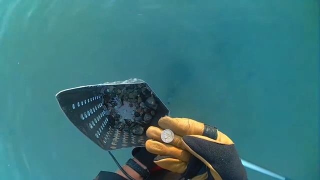Detectorpro Underwater (old Silver) смотреть онлайн