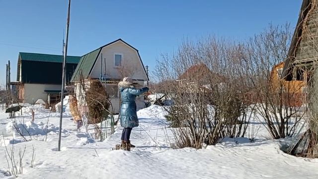 весна на даче| пилим плодовые деревья| тяжелый снег|что делать со старым домом? смотреть онлайн