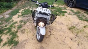 Обзор Honda Benly. СТОИТ ЛИ ЕГО ПОКУПАТЬ?