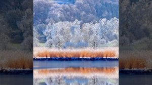 Антонио Вивальди декабрь зима(времена года)