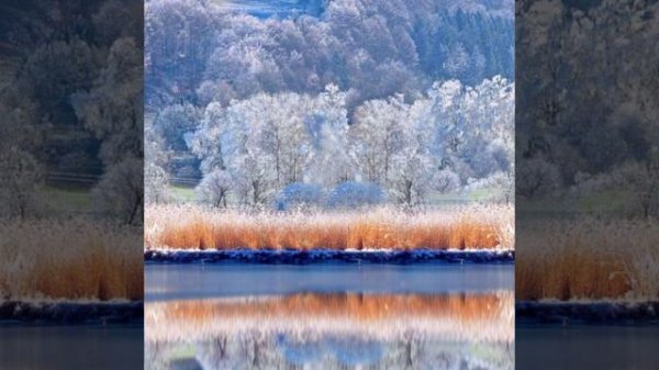 Антонио Вивальди декабрь зима(времена года)