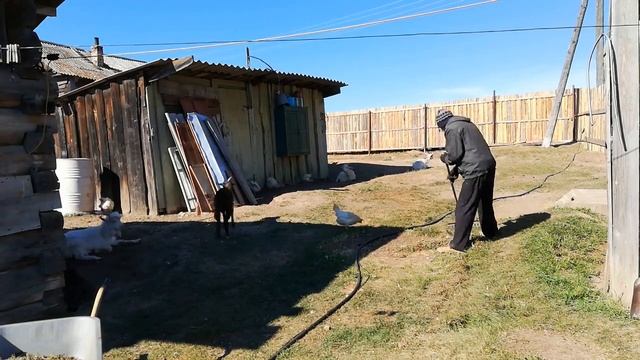 Трудовые будни (таймлапс). Уборка двора (продолжение) смотреть онлайн