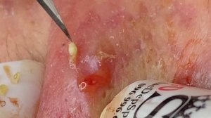 Relax Every Day (GY P14) #SacDepSpa473