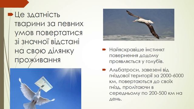 Литвин Н.А. Біологія: «Способи орієнтування тварин. Хомінг. Міграція тварин» (7 клас) смотреть онлайн