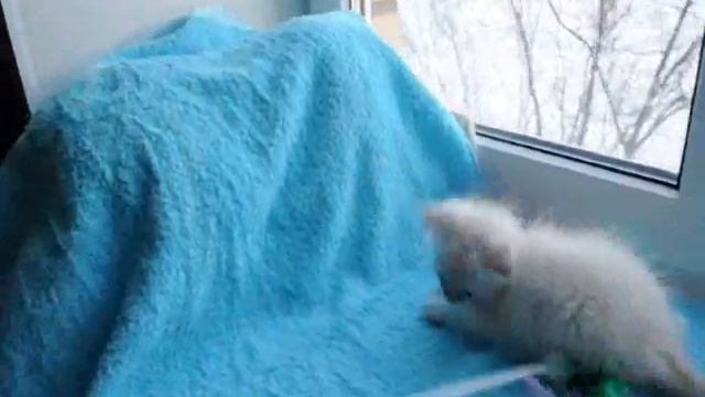 Байкальчик 0001 смотреть онлайн