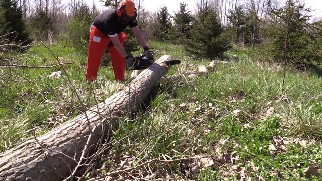 Greenworks Commercial 18" 82 Volt Lithium Ion Chainsaw - GS 180 смотреть онлайн