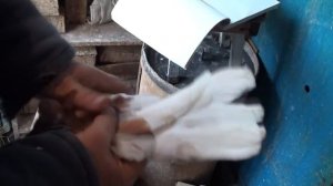 Кировоградские голуби на полигоне 2018