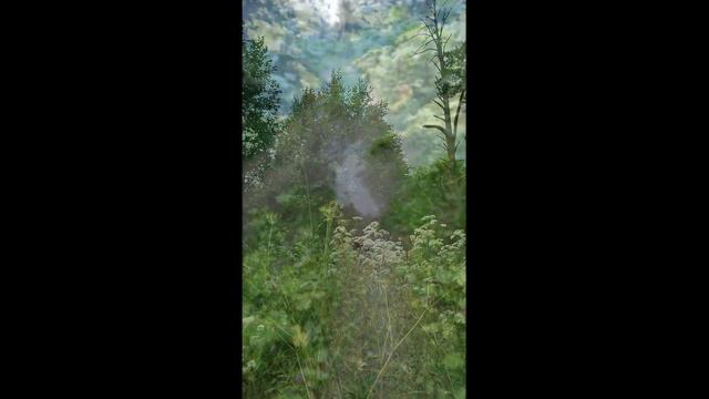 Радиалка: Летний Азимут 2022 Красноармейск смотреть онлайн